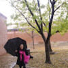 lizziel10